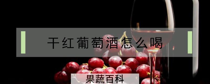 干红葡萄酒怎么喝