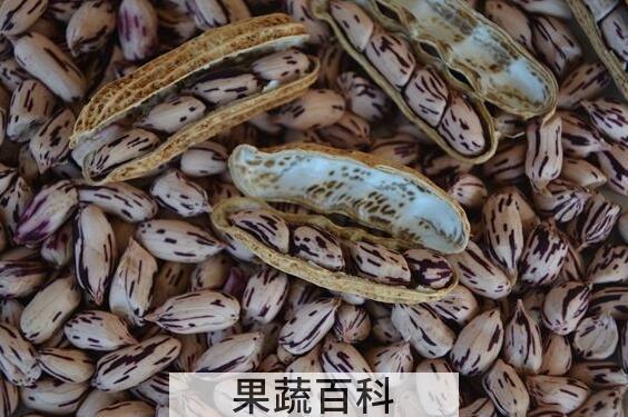 七彩花生怎么吃 云南七彩花生的吃法