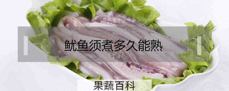 鱿鱼须煮多久能熟