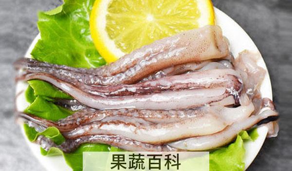 鱿鱼须煮多久能熟