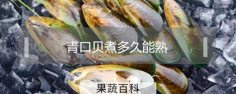 青口贝煮多久能熟