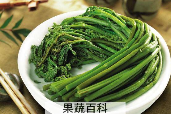 新鲜蕨根怎么做好吃