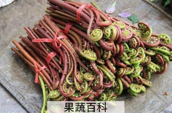 新鲜蕨根怎么做好吃