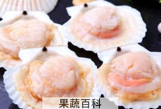 夏威夷贝哪些部位不能吃 吃夏威夷贝的好处