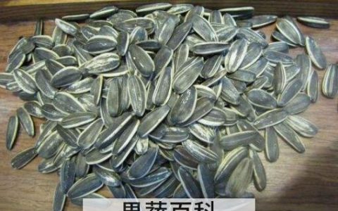 嗑瓜子的好处和坏处