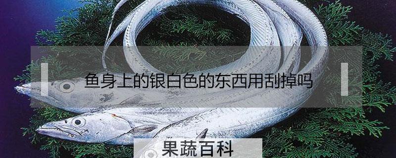 鱼身上的银白色的东西用刮掉吗