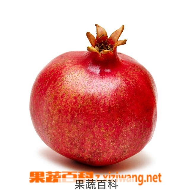果蔬百科石榴
