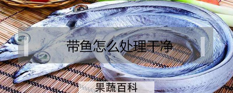 带鱼怎么处理干净