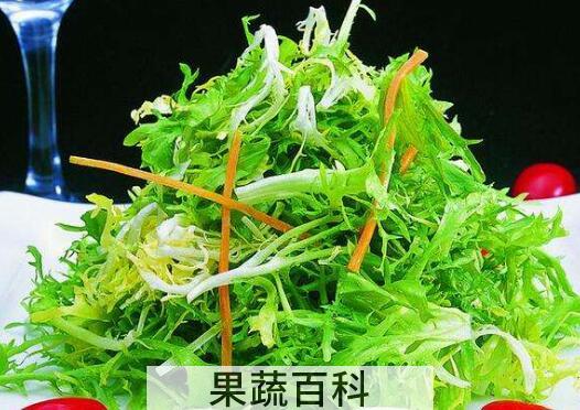 苦菜的功效与作用及禁忌