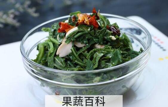 苦菜怎么做好吃 苦菜的正确吃法