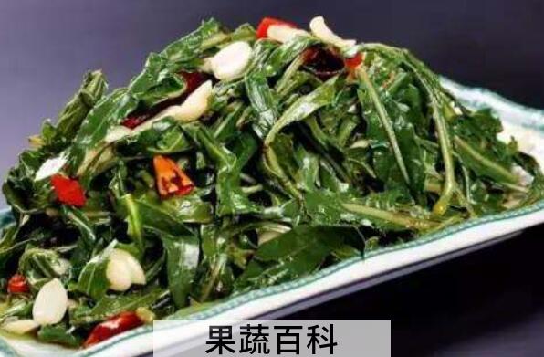 苦菜怎么做好吃 苦菜的正确吃法