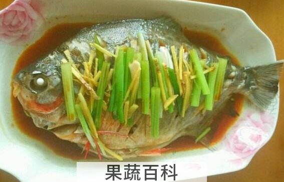 最适合孩子吃的八种鱼