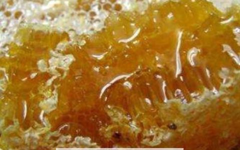 土蜂蜜的功效与作用有哪些