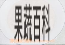 果蔬百科苹果萝卜燕麦粥