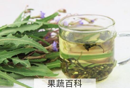 紫花苦菜的功效与作用 紫花苦菜怎么服用