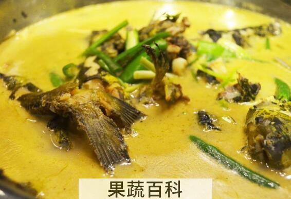黄鸭叫鱼的功效与作用