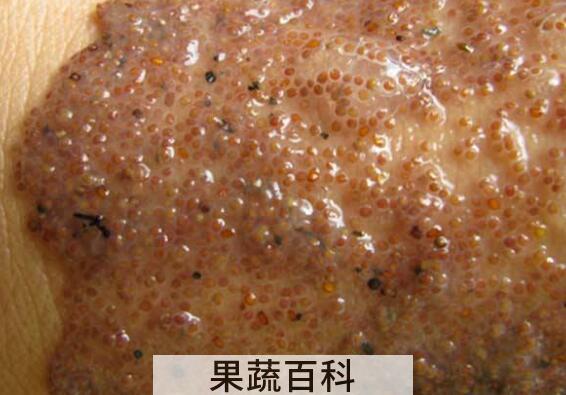 海藻面膜如何正确使用 海藻面膜怎样使用方法