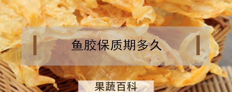鱼胶保质期多久