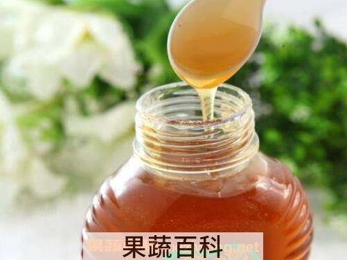 人参蜜的功效与作用有哪些