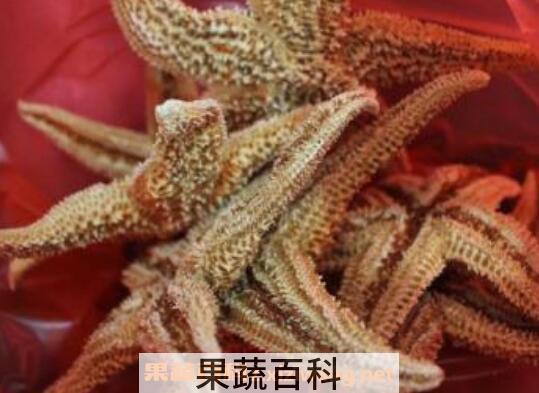 海星泡酒的功效与作用