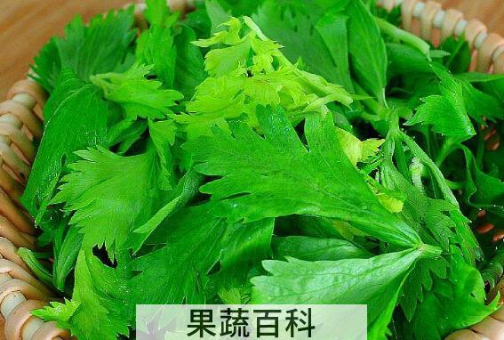 芹菜叶子怎么用 芹菜叶子可以吃吗