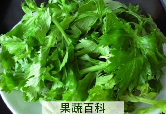 芹菜叶子怎么用 芹菜叶子可以吃吗