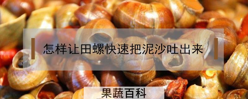 怎样让田螺快速把泥沙吐出来