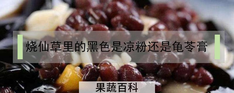 烧仙草里的黑色是凉粉还是龟苓膏