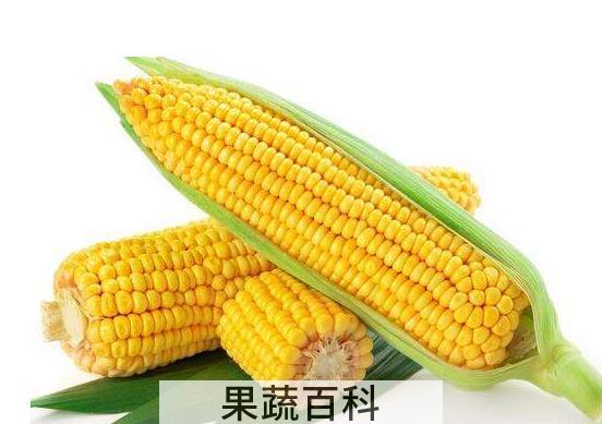 十种刮油食物越吃越瘦 刮油食物推荐