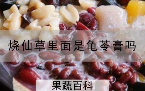 烧仙草里面是龟苓膏吗