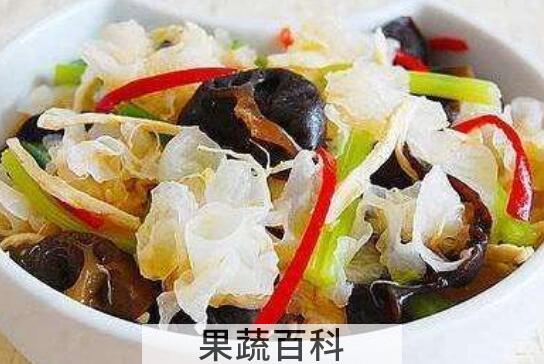银耳为什么不能天天吃 吃银耳的注意事项