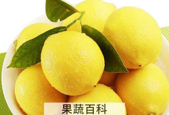新鲜柠檬怎么保存 新鲜柠檬正确保存方法