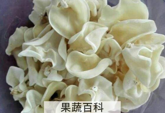 吃白玉木耳有什么好处 白玉木耳的禁忌