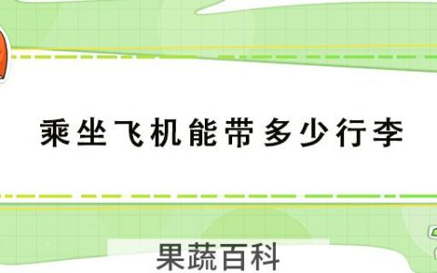 乘坐飞机能带多少行李