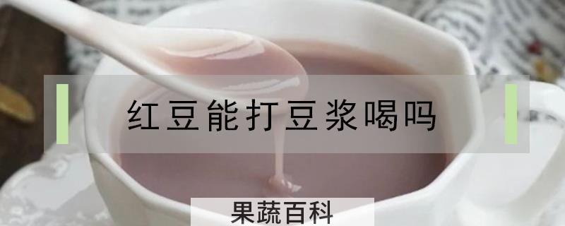 红豆能打豆浆喝吗