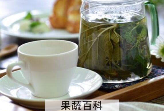 香草茶的功效与作用及食用方法