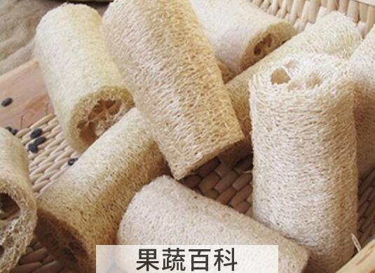 干丝瓜络的功效与作用
