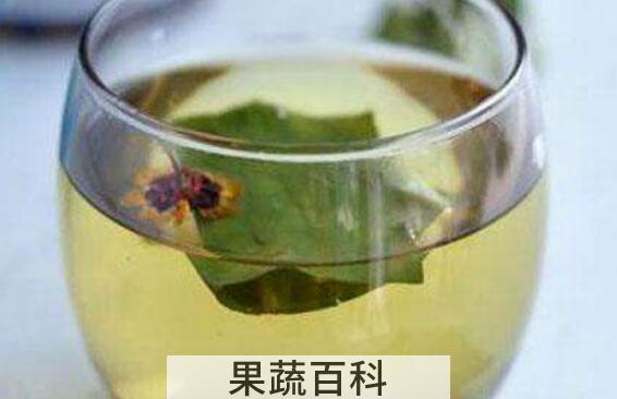 车前草怎么煮水喝 车前草煮水有什么功效