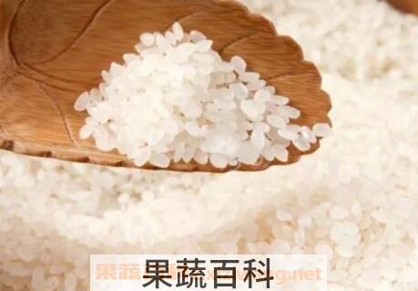 粳米是什么米 粳米的功效与作用