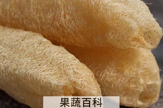 丝瓜络煮水泡脚的功效