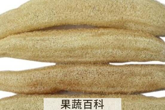 丝瓜络烧成灰的功效与作用 丝瓜络的功效