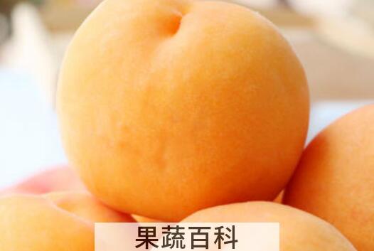 黄金蜜桃和锦绣黄桃的区别  吃桃子的好处