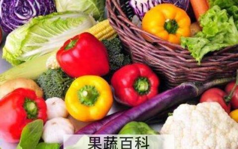 转基因食品能吃吗 转基因食品的危害