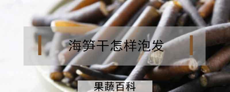 海笋干怎样泡发
