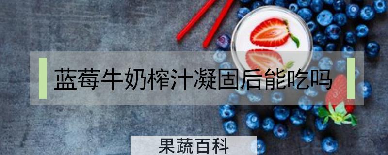蓝莓牛奶榨汁凝固后能吃吗