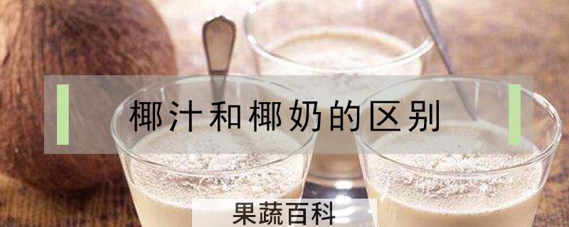 椰汁和椰奶的区别