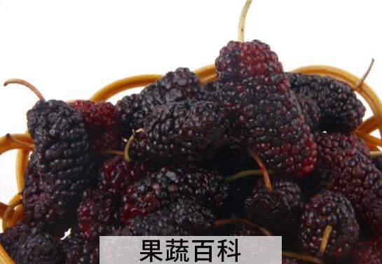 桑葚片的作用与功效