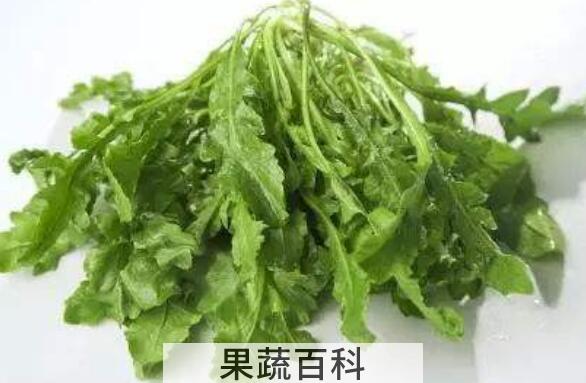 荠荠菜的功效与作用