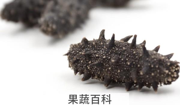 海参和球参的营养区别