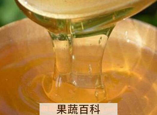 土蜂蜜的功效与正确的食用方法